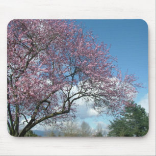 Kirschblütenbaum im Frühjahr unter blauem Himmel Mousepad