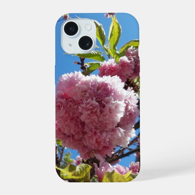 Kirschblütenbaum iPhone 15 Hülle (Rückseite)