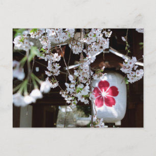 Kirschblütenfest in Kyoto Postkarte