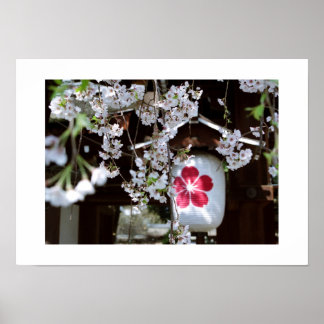 Kirschblütenfest: Kyoto Poster