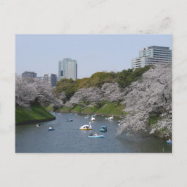 Kirschblütensaison (Sakura) in Tokio, Japan Postkarte