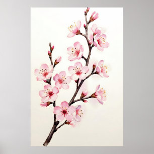Kirschblütenzweig Aquarell Poster
