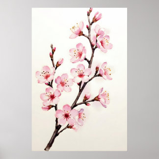 Kirschblütenzweig Aquarell Poster