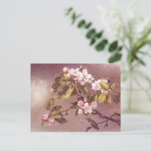 Kirschblütenzweig Postkarte