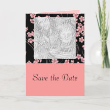 Kirsche blüht auf schwarzer Fotokarte