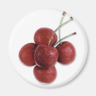 Kirsche Magnet