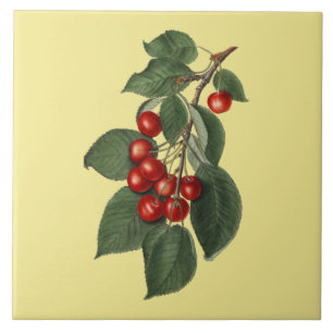 Kirschen ~ Botanisches Tile ~ Küche ~ Jede Farbe ~ Fliese