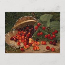 Kirschen Postkarte