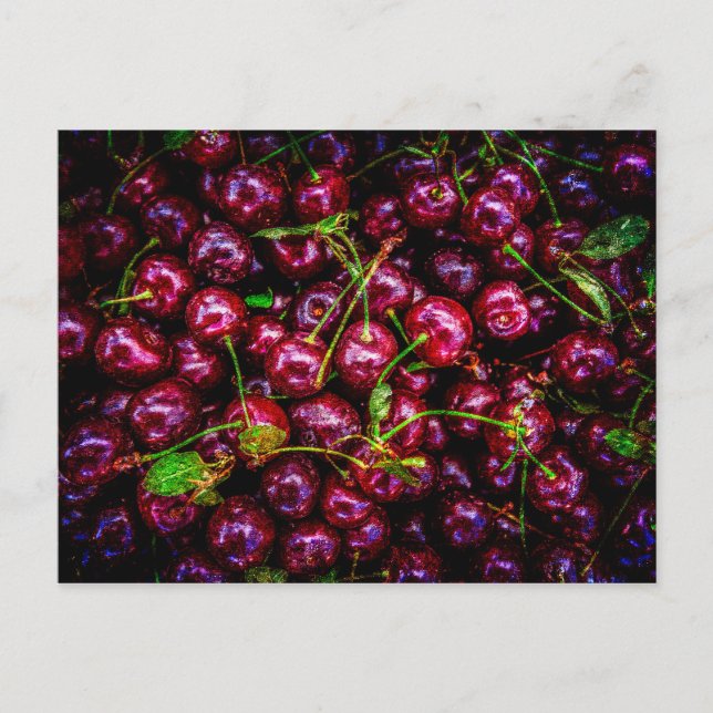 Kirschen Postkarte (Vorderseite)