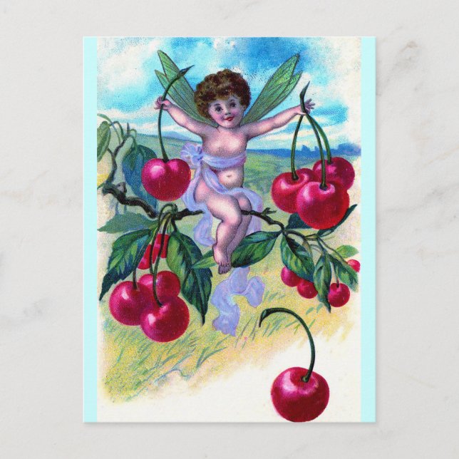 Kirschfee Postkarte (Vorderseite)