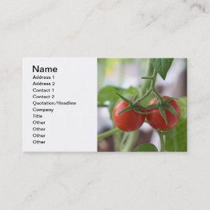 Kirschtomaten auf einem Zweig Visitenkarte