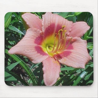Kirschzertrümmern-Taglilie Mousepad