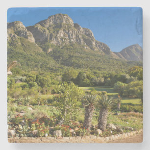 Kirstenbosch Botanic Gardens, Kapstadt Steinuntersetzer