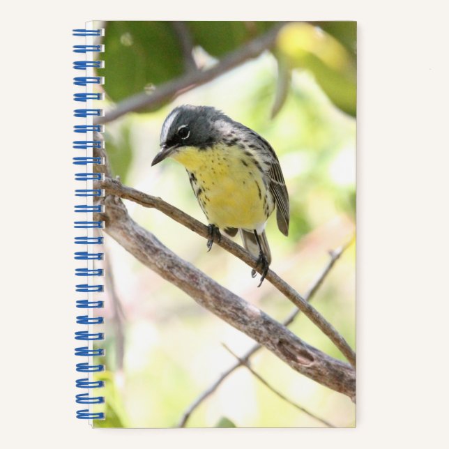 Kirtland’s Warbler spiral bound bullet journal Notizbuch (Vorderseite)