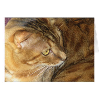 Kishka glitzert in Gold