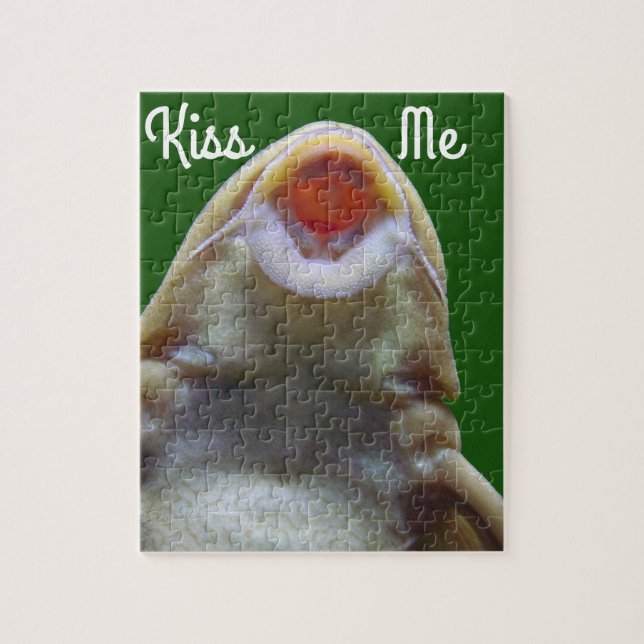 Kiss Me Fish (Vertikal)