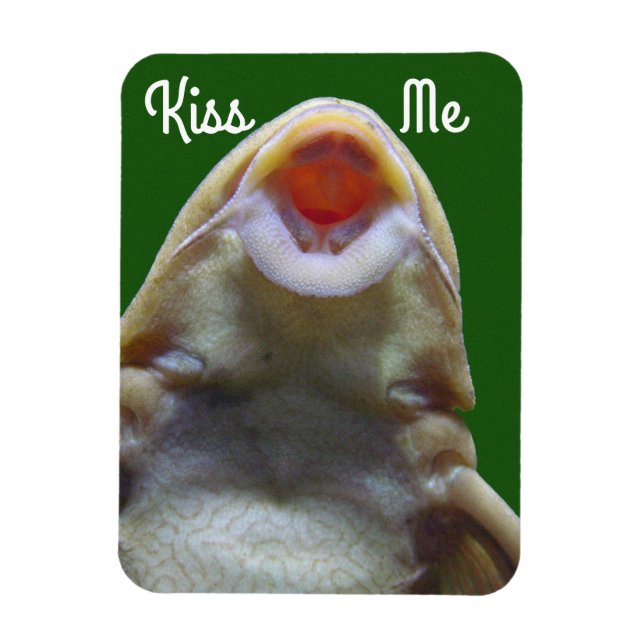 Kiss Me Fish Magnet (Vertikal)