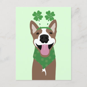 Kiss Me Ich bin irischer brauner Hund grün Postkarte