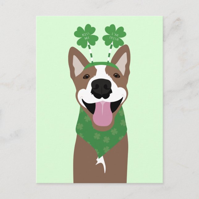 Kiss Me Ich bin irischer brauner Hund grün Postkarte (Vorderseite)