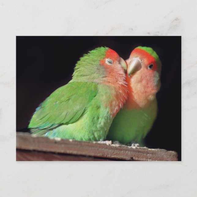 Kiss Me Postkarte (Vorderseite)