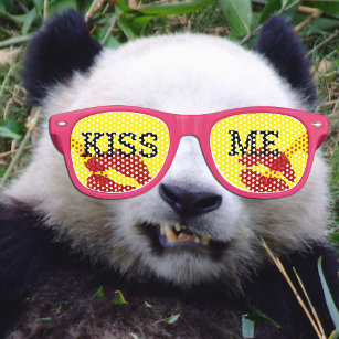 KISS ME Retro Shades / Fun Party Sonnenbrille