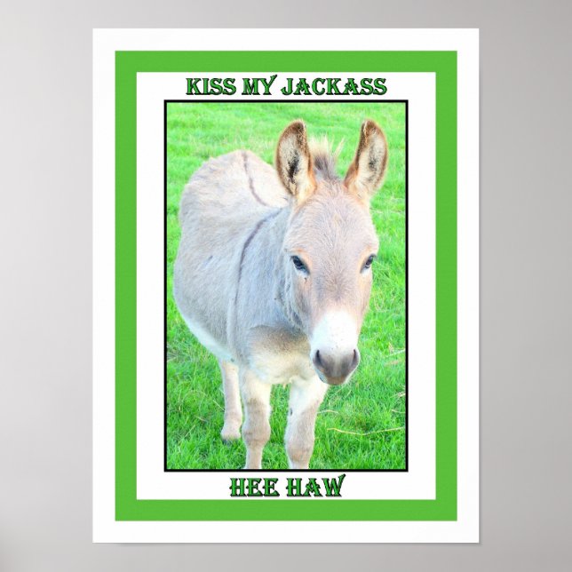 KISS MY JACKASS, HEE HAW POSTER (Vorne)