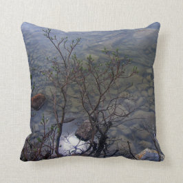 Kissen des Mirror See-2