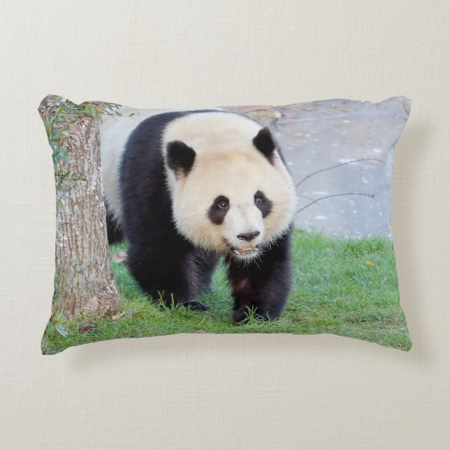 Kissen Foto Riesenpanda. (Vorderseite)