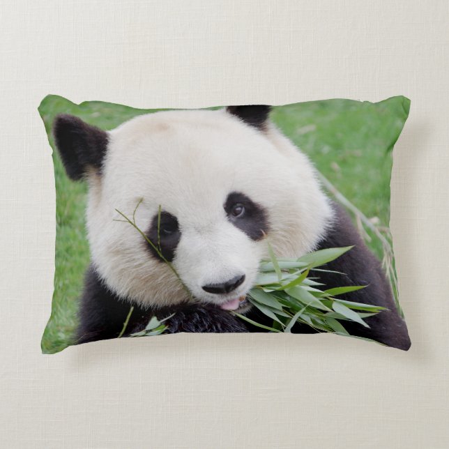 Kissen Foto Riesenpanda. (Vorderseite)