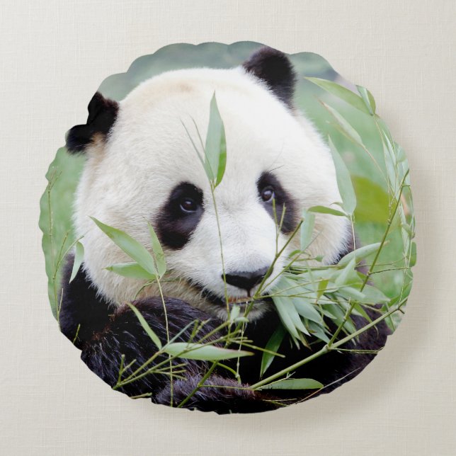 Kissen Foto Riesenpanda. (Vorderseite)