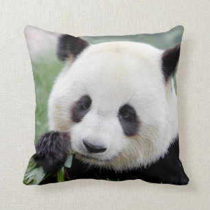 Kissen Foto Riesenpanda 1.