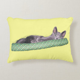 Kissen - Grau Kitten