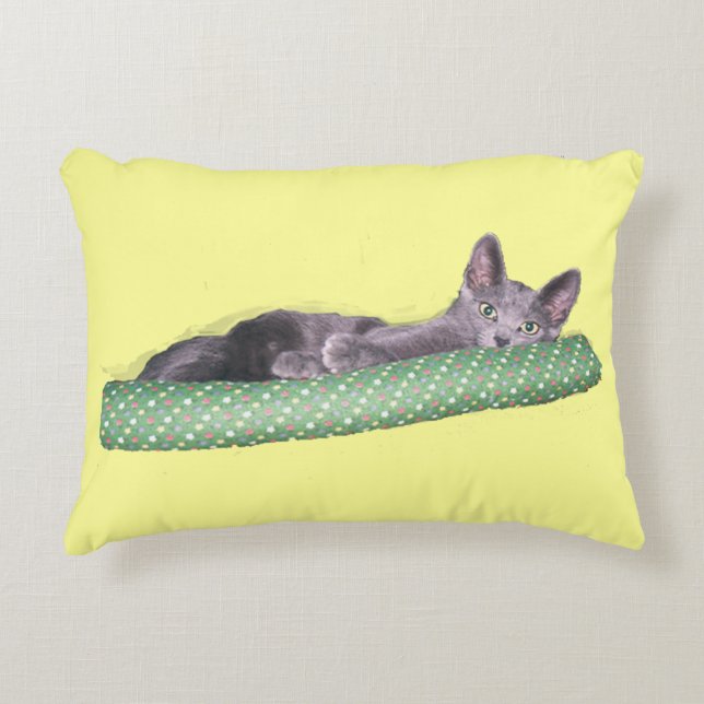 Kissen - Grau Kitten (Vorderseite)