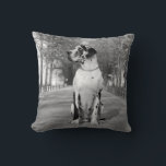 Kissen Great Dane<br><div class="desc">Deutsche Dogge / Great Dane oder Ihre Hundefotografie,  auf einem neuen Kissen. Eine Seite wurde vom Doggenhaus mit großem dangefarbenen Muster bedruckt.</div>