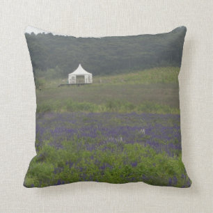 Kissen - Lavendel-Landsitz-Garten