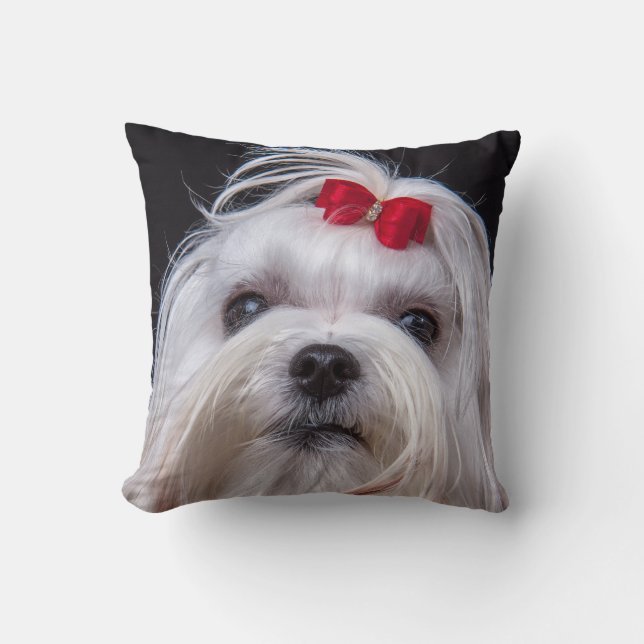 Kissen maltesischer Hundedes kleinen weißen (Vorderseite)