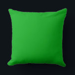 Kissen mit grünem Wurf 20" x 20"<br><div class="desc">Das ist für die Kissenliebhaber. Cool!</div>