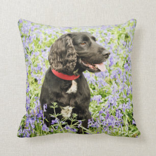 Kissen mit schwarzem Spaniel in den Bluebells