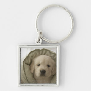 Kissen um Hund Schlüsselanhänger