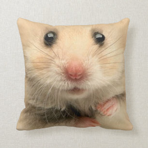 Kissenhaustierhamster Kissen