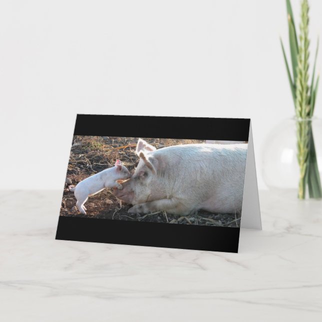 Kissenschwein Karte (Vorderseite)