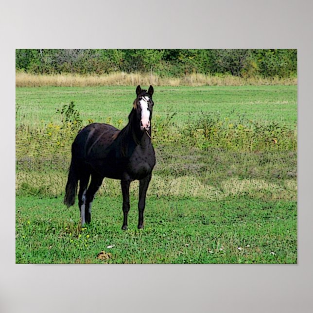 Kisses Poster (Vorne)