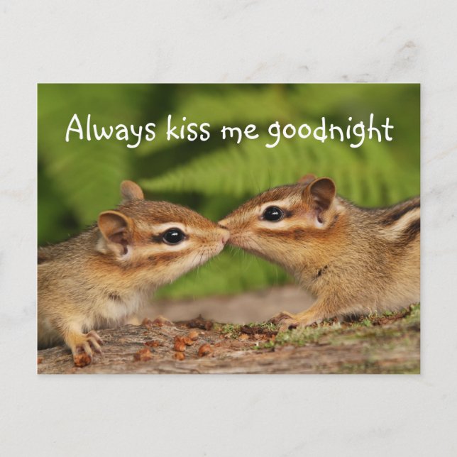Kissing Baby Chipmunks Postkarte (Vorderseite)