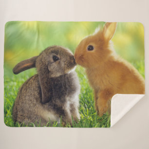KISSING BUNNIES SHERPADECKE