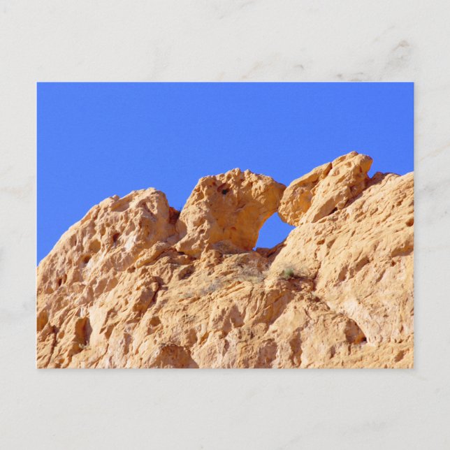 Kissing Camels Postkarte (Vorderseite)