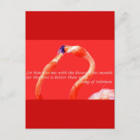 Kissing Flamingos