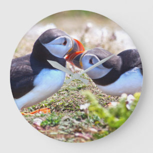 Kissing Puffins Clock Große Wanduhr