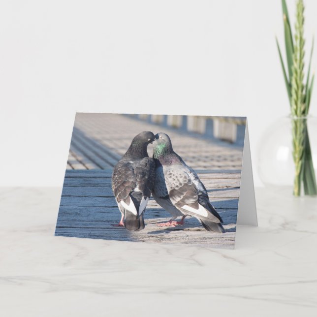 Kissing Tauben-Kunstkarte Karte (Vorderseite)
