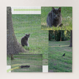 Kiste Puzzle: Cat in Action
