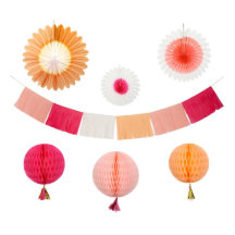 Kit de fête de la Garland rose